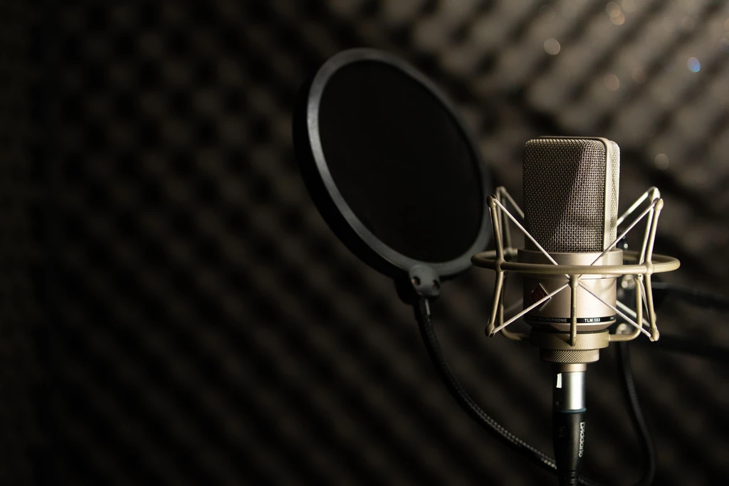 locutora voice over studio home estúdio de dublagem microfone condensador neumann tlm 103 anti puf pop cabine de locução